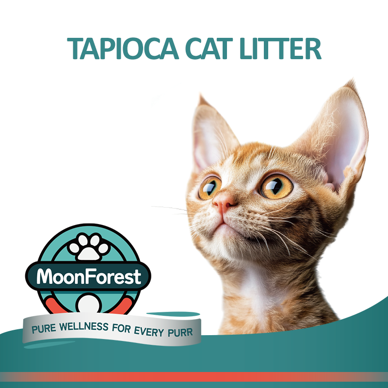 All Tapioca Cat Litter, Non Stick Bottom, Odor Control, No Dust Clumping, Good Low Tracking 18lb 35 Lb