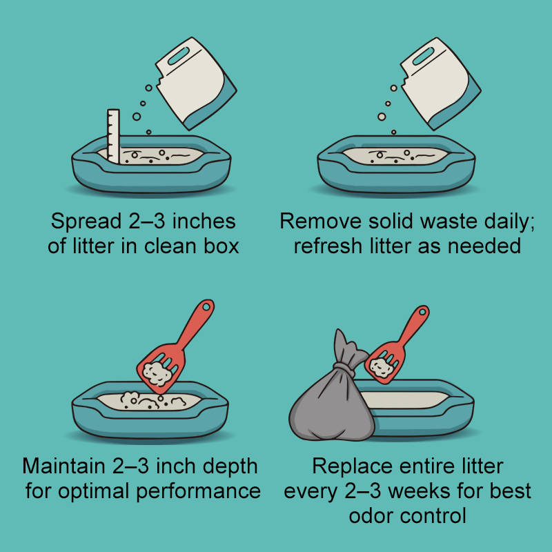 All Tapioca Cat Litter, Non Stick Bottom, Odor Control, No Dust Clumping, Good Low Tracking 18lb 35 Lb