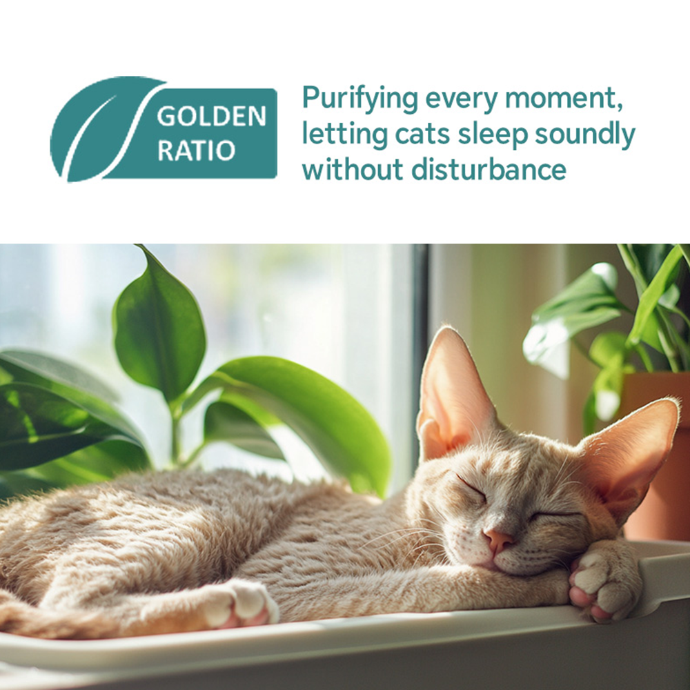 moonforest brand story